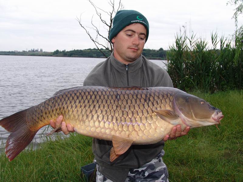 Resize of DSC00020.JPG