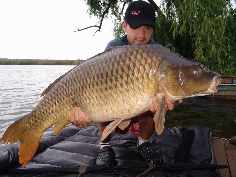 Resize of DSC09997.JPG