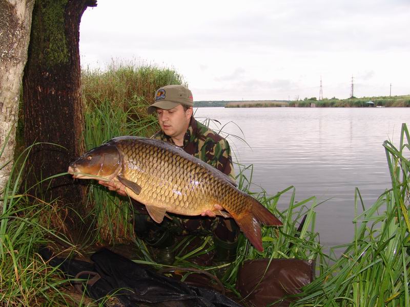 Resize of DSC00078.JPG