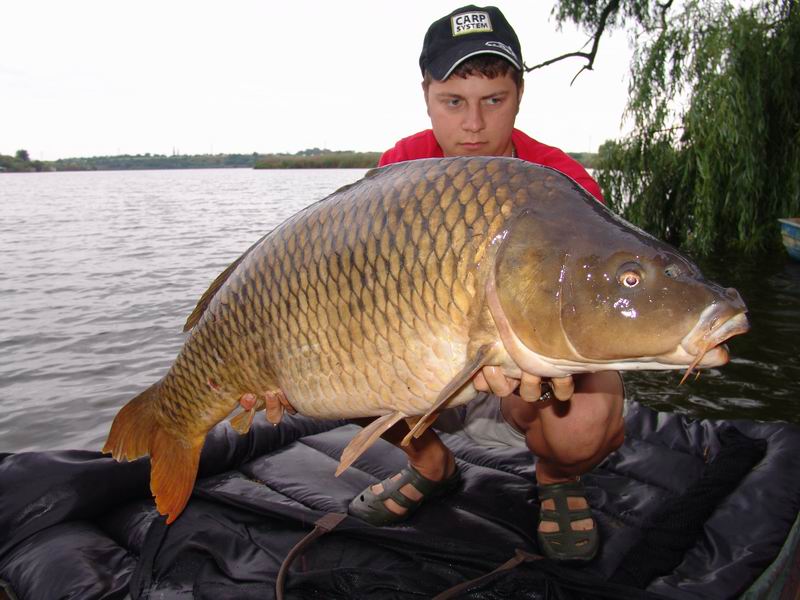 Resize of DSC00004.JPG