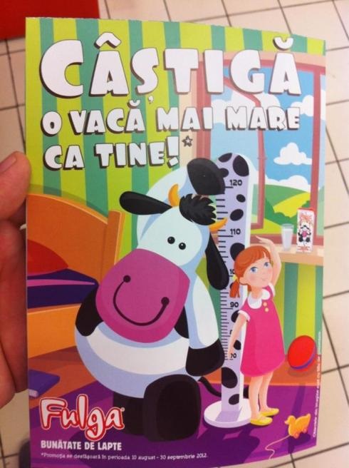 Fulga.jpg