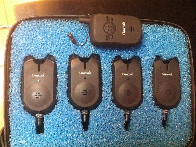 IMG_7600 (Small).JPG