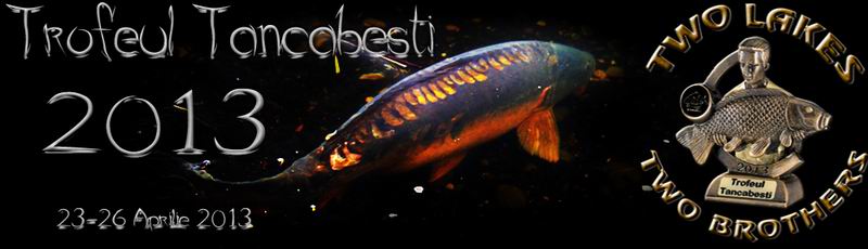 Resize of Trofeul-Tancabesti-Header2.jpg