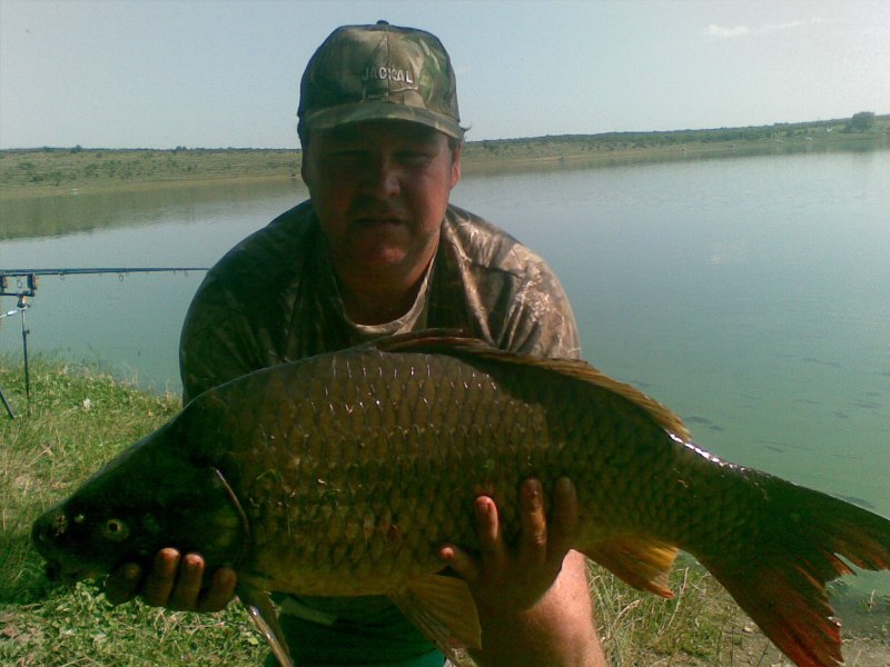 2010(002).jpg