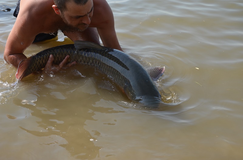 DSC_0484.JPG