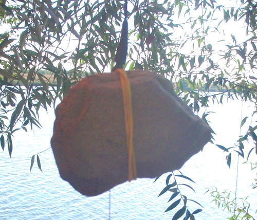 P9220122.JPG