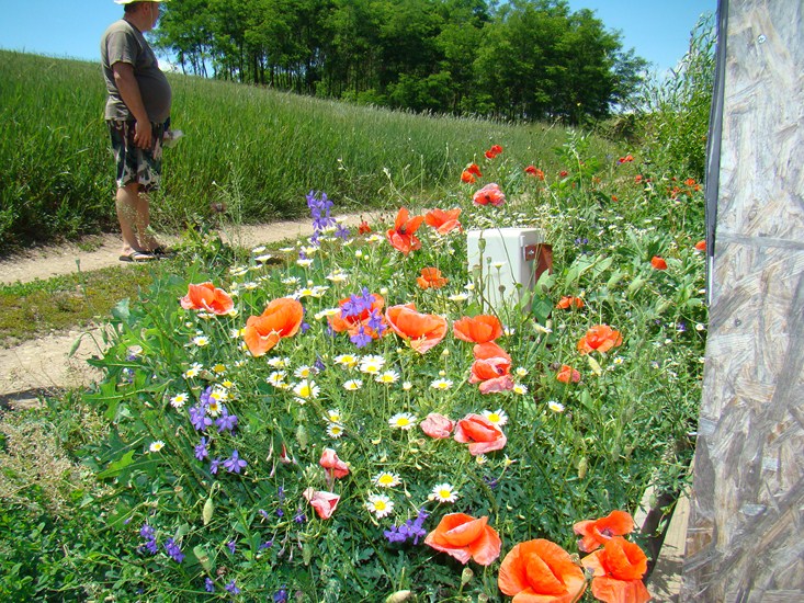 DSC01075 (Copy).JPG