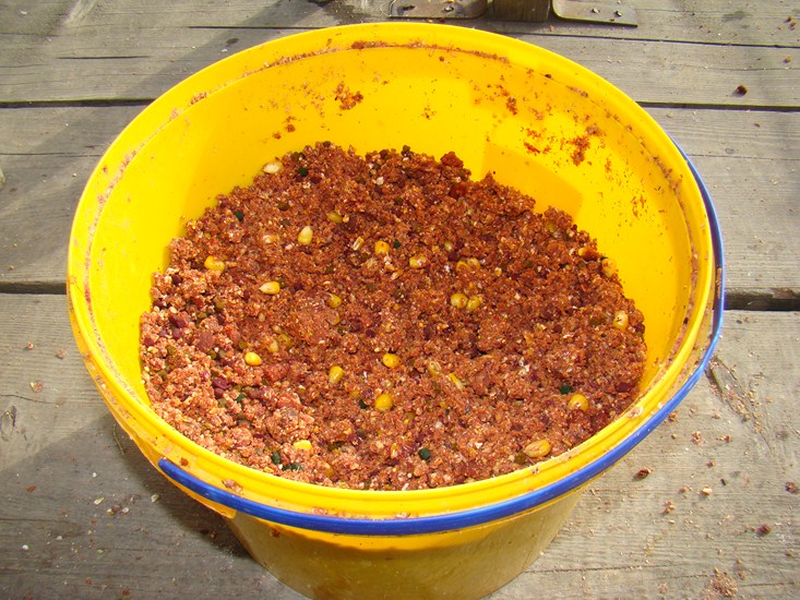 DSC01133 (Copy).JPG
