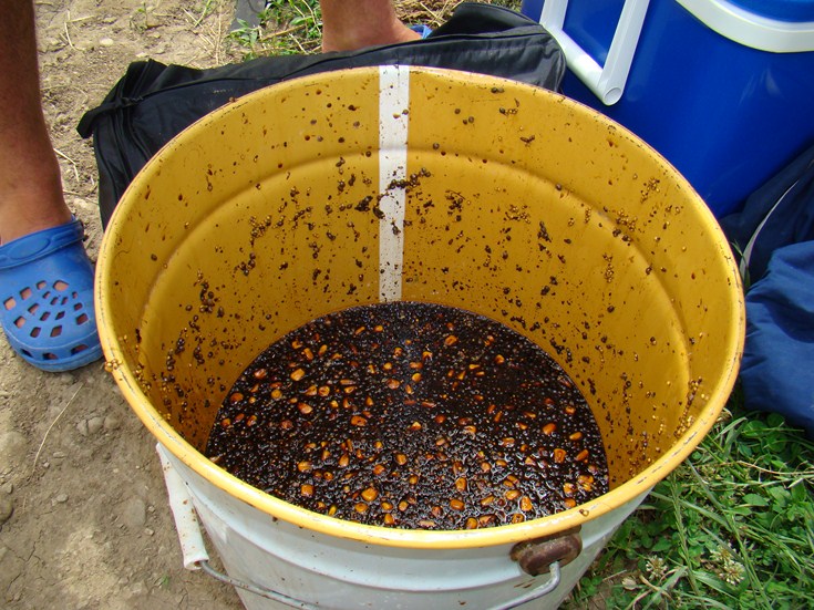 DSC01187 (Copy).JPG