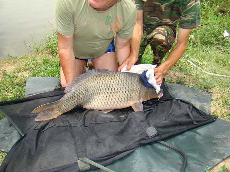 DSC01364 (Copy).JPG