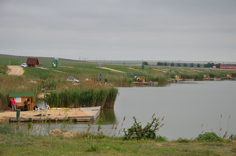 DSC_2795.JPG