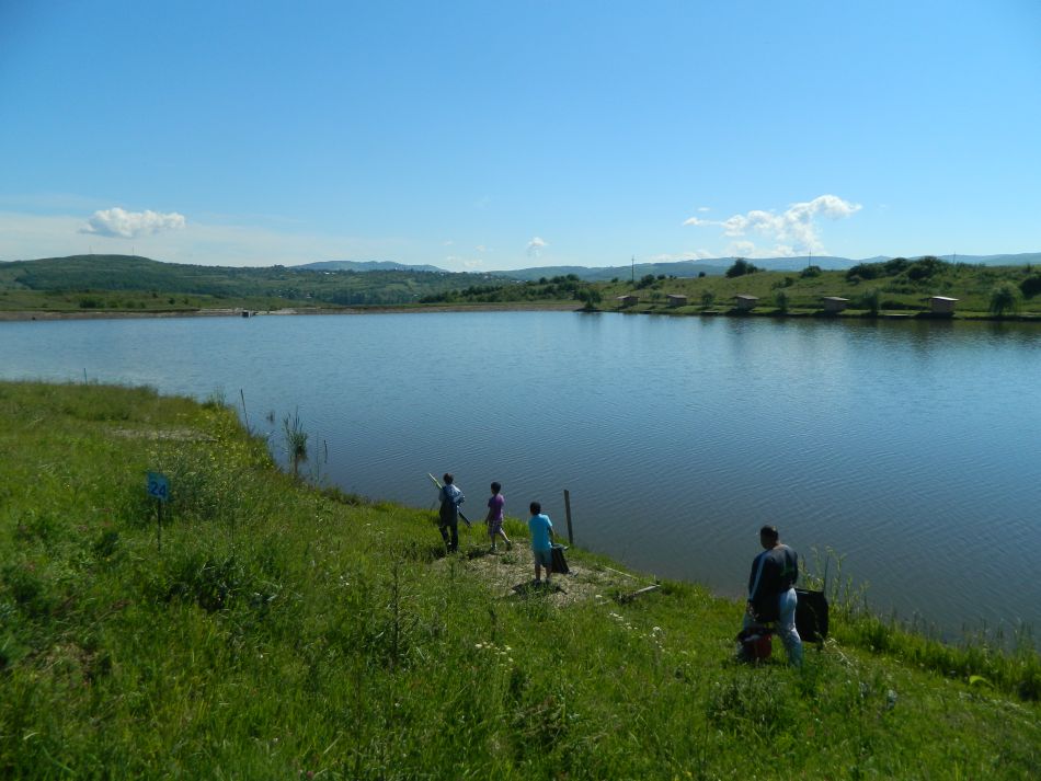 DSCN4424.jpg