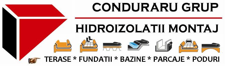 Logo Servicii.jpg