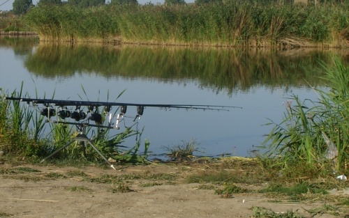 STP80230.JPG