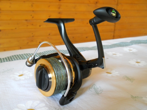 Cormoran Corcast 2012 - 1.JPG