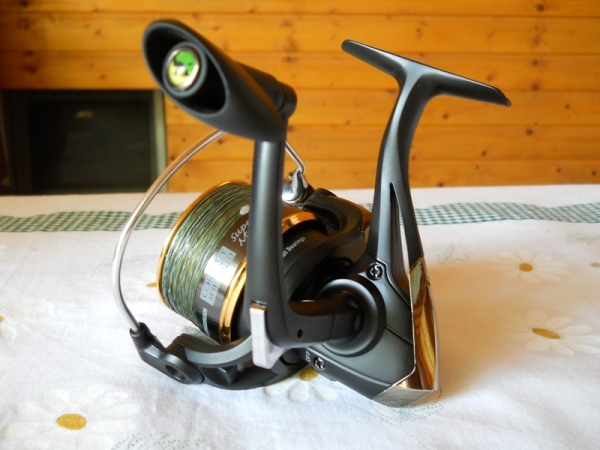 Cormoran Corcast 2012 - 2.JPG