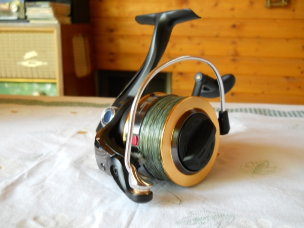 Cormoran Corcast 2012 - 3.JPG