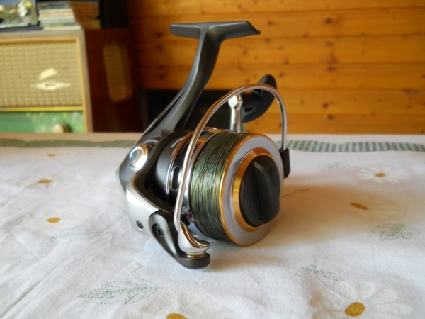 Cormoran Corcast 2013 - 1.JPG