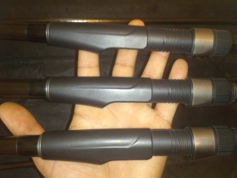 Copy of Mandrina.jpg