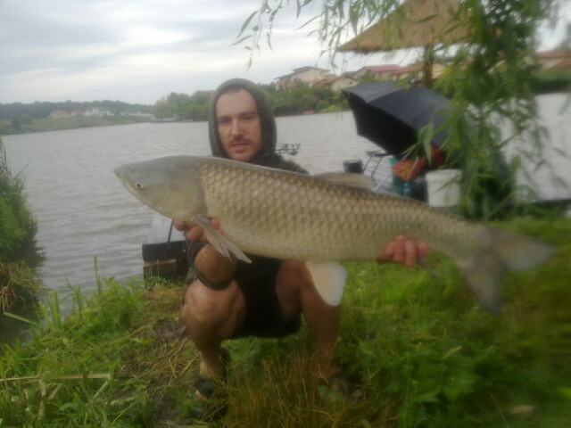 30062013500.jpg