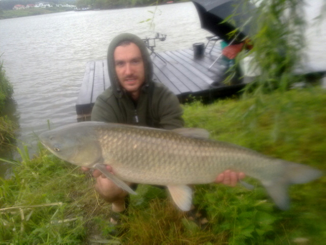 30062013499.jpg