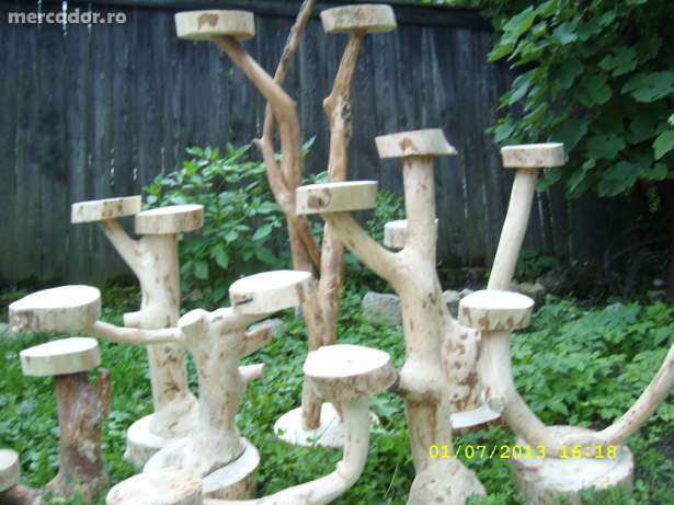 12353851_2_644x461_vind-florare-rustice-din-radacina-de-copac-la-comanda-fotografii_rev004.jpg