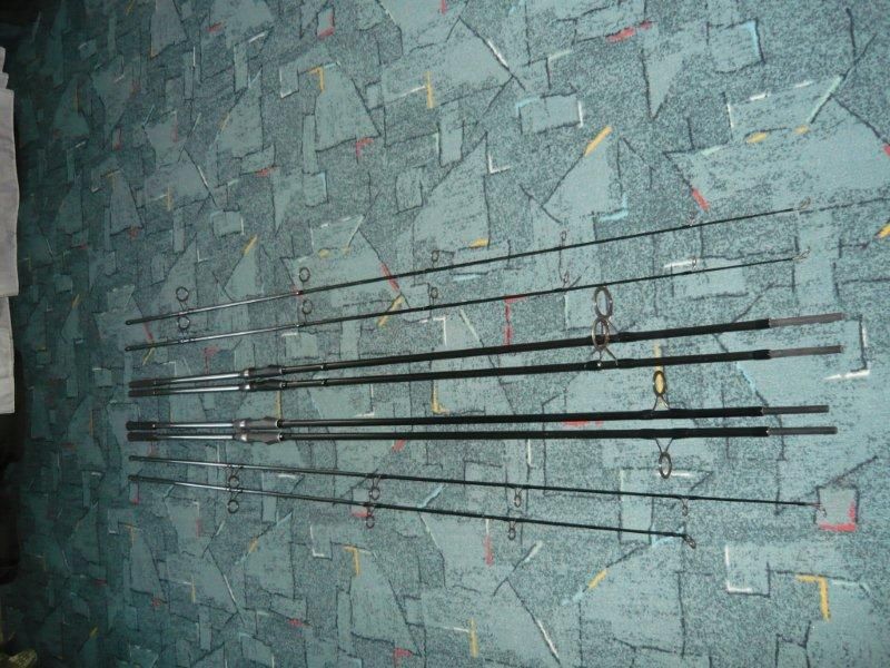 P1010253.jpg