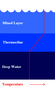 termoclina.gif