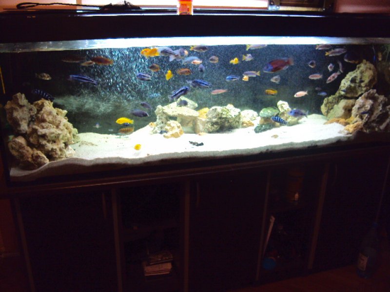 dsc04206_a.jpg