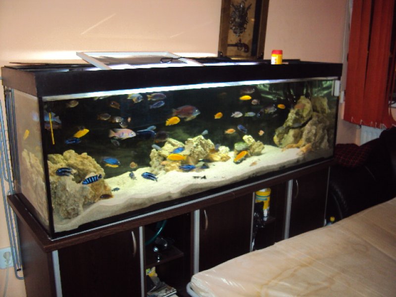 dsc04196_a.jpg
