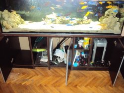 dsc04209_b.jpg
