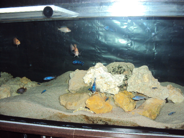 DSC04801.JPG