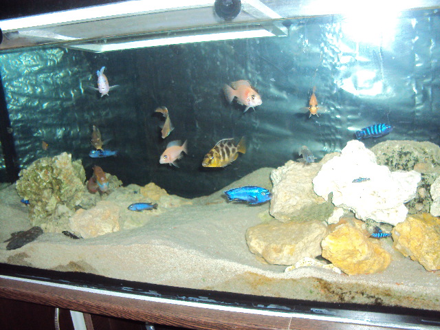 DSC04809.JPG
