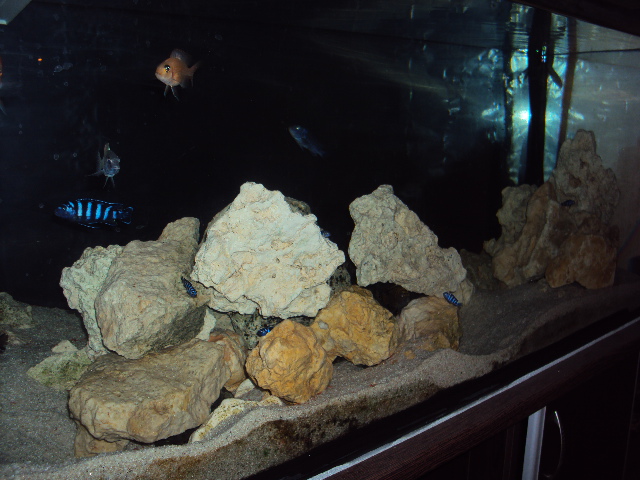 DSC04806.JPG