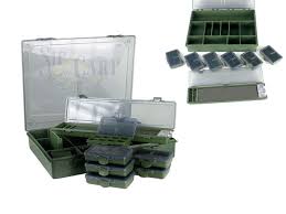 cutie carp academy.jpg