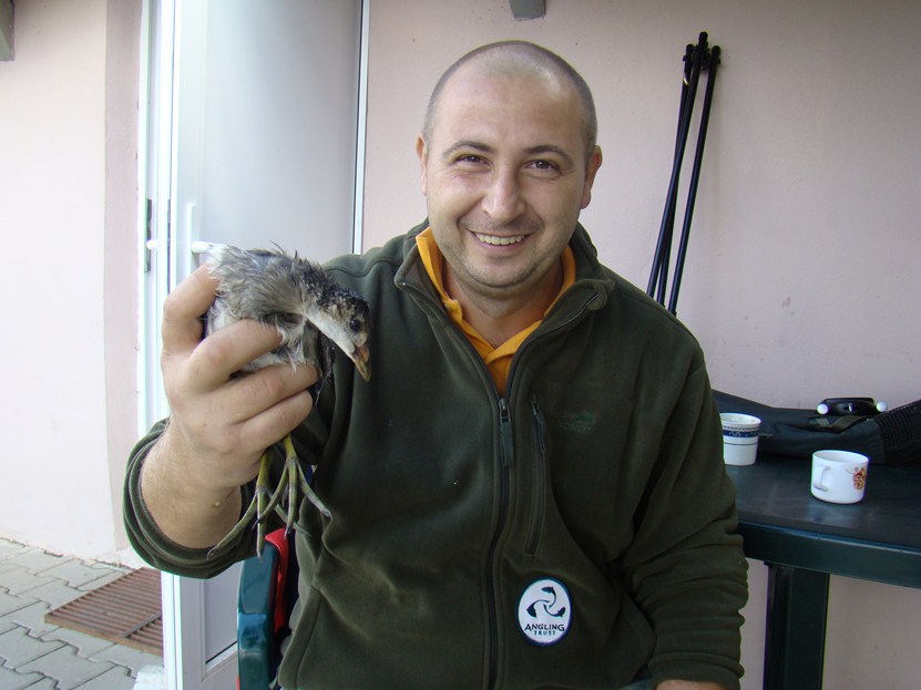 DSC01775 (Copy).JPG