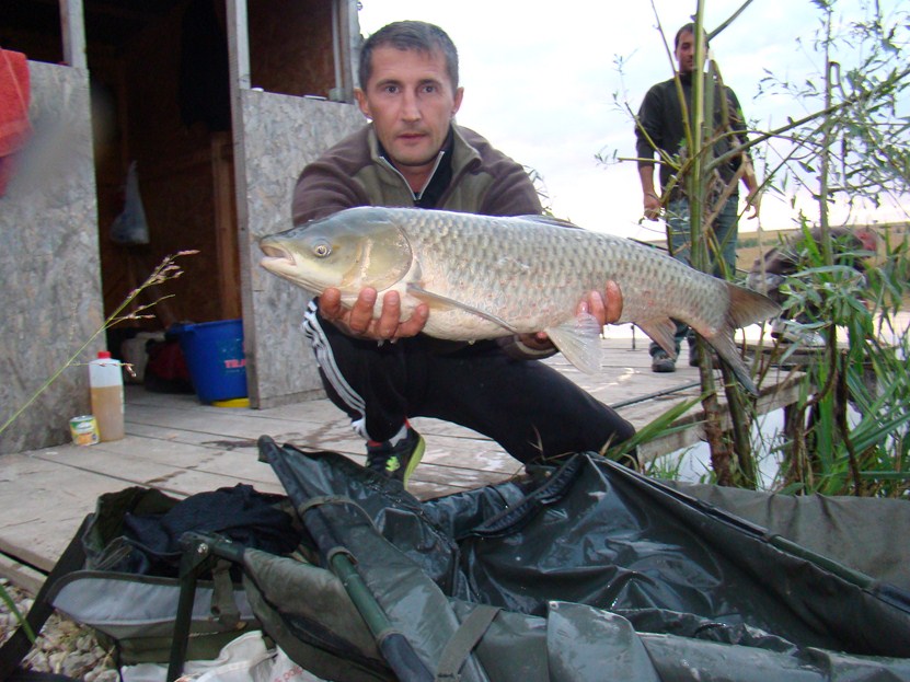 DSC01784 (Copy).JPG