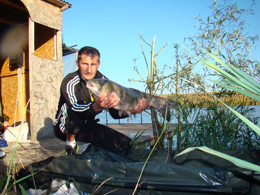 DSC01789 (Copy).JPG