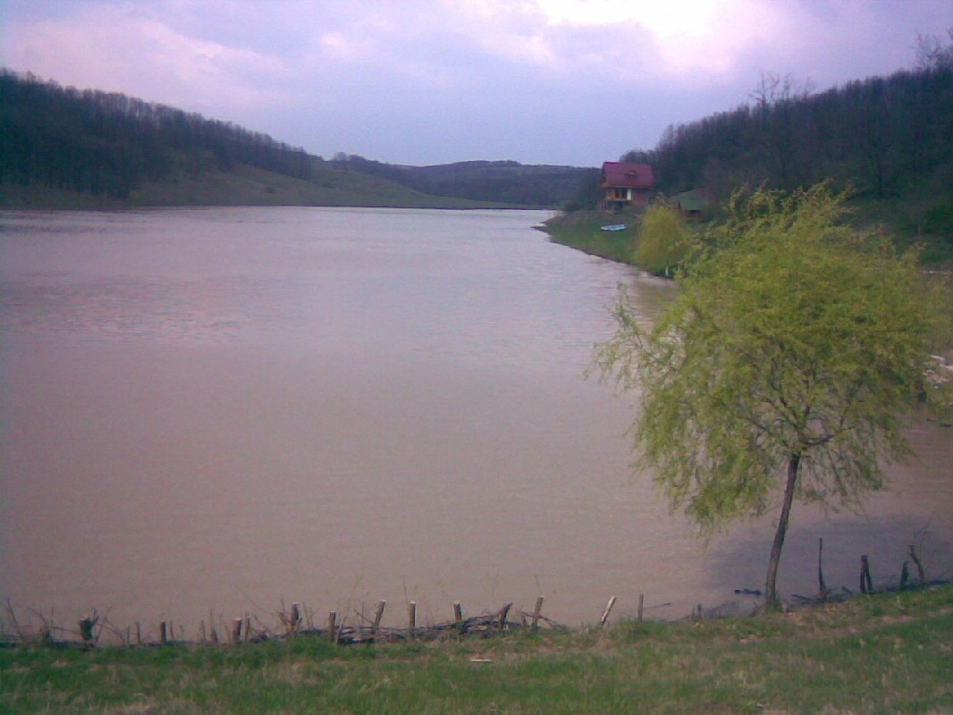 10042010(002).jpg