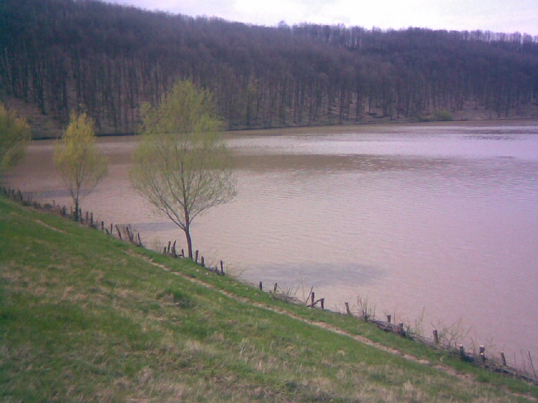 10042010(004).jpg