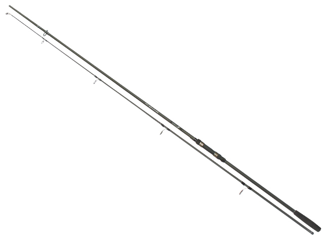 Green_Line_Carp_13.jpg