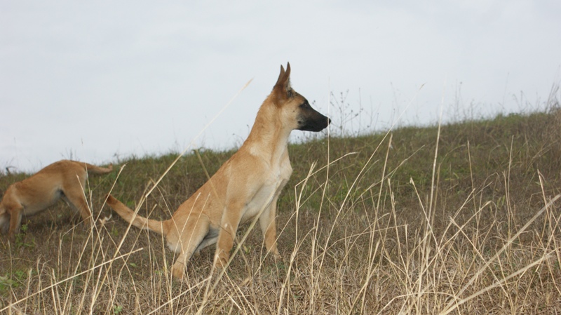 DSC09467.JPG