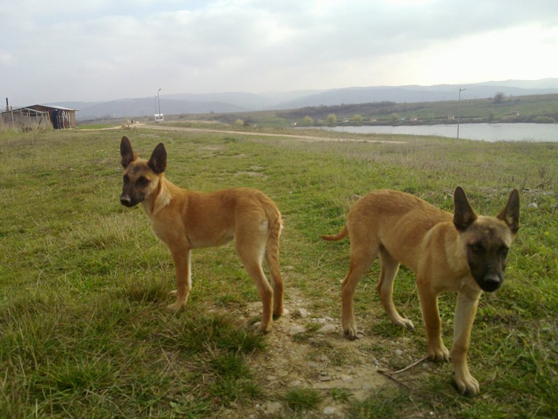 20131102_001.jpg