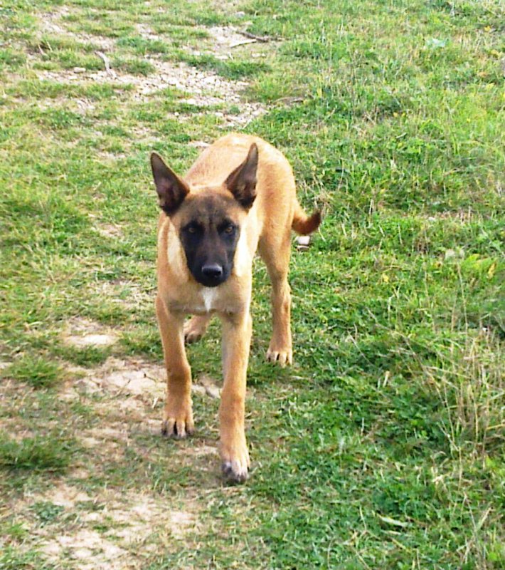20131102_005.jpg