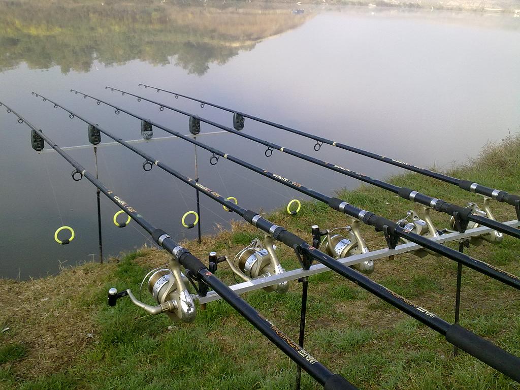 24102010377ds.JPG