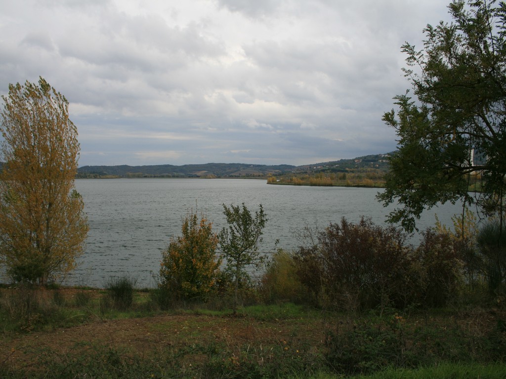 Immagine 177.jpg
