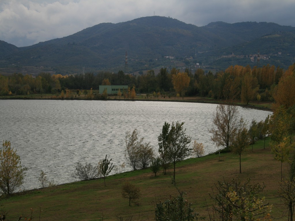 Immagine 174.jpg
