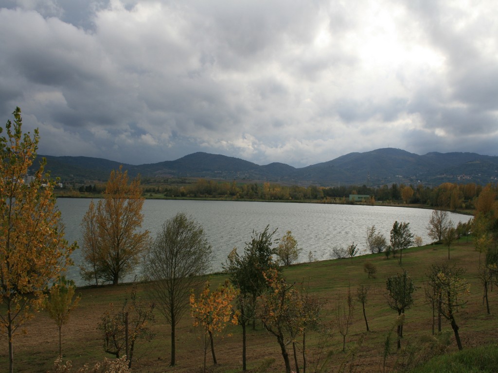 Immagine 173.jpg