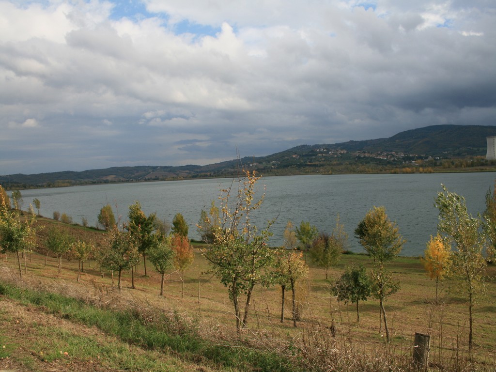 Immagine 170.jpg