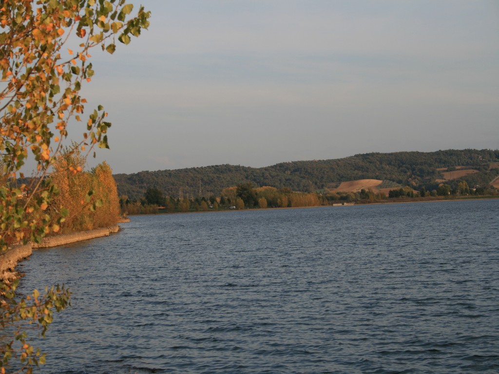Immagine 164.jpg